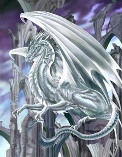 Dragon Types - Realm of the Dragon Riders